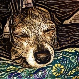 Meet your Posher, Marianne